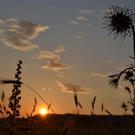 Bissantica, Heritage And Charm In Rural Sardinia *