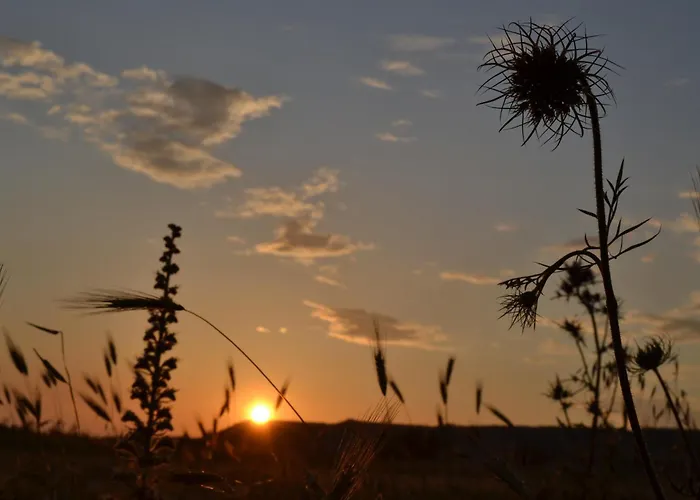 Bissantica, Heritage And Charm In Rural Sardinia *